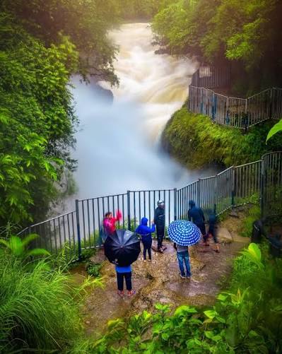 Davis Falls